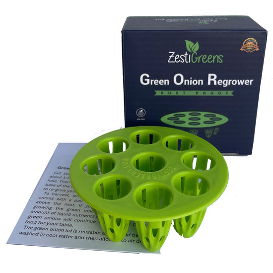 Easiest Green Onion Regrower. Includes Ergonically Designed Lid & Instructions for Beginners.
